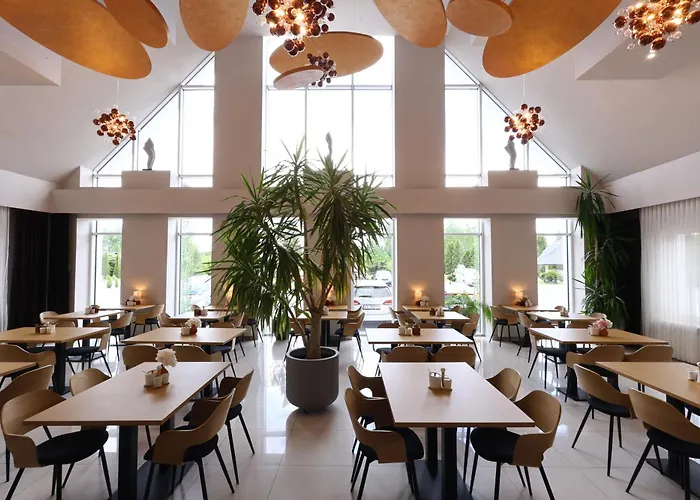 Garden Hotel- Jestesmy W Trakcie Modernizacji